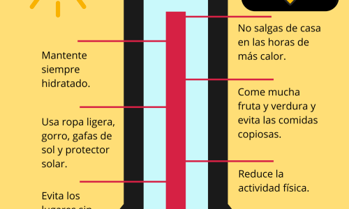 Cómo protegerte durante una ola de calor 🌞🌡️
