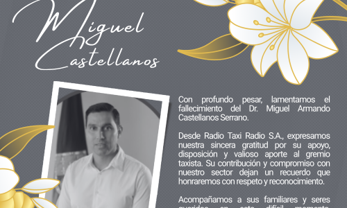 Miguel Armando Castellanos Serrano